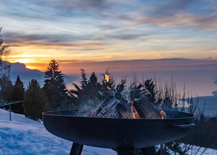 Le Coucou Restaurant & Lounge-bar 3* مونترو